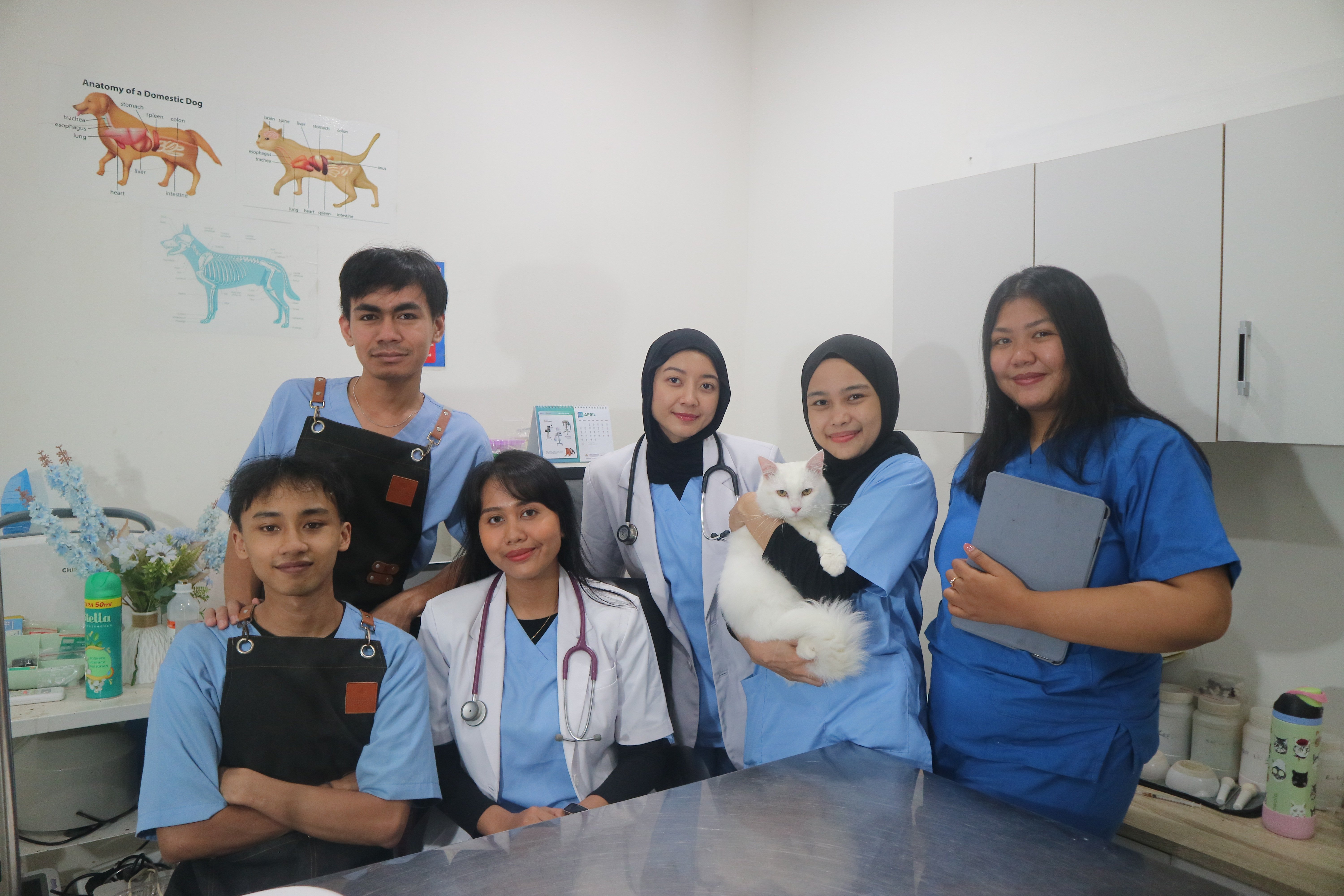 Klinik Hewan Graha Raya 538 1783186350 Pet Shop Dokter Hewan Graha Raya Gens Bintaro Alam Sutera Ciledug